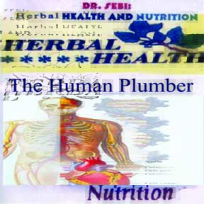 The Human Plumber catalog artwork