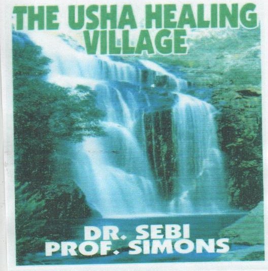 Usha Healing Village catalog artwork