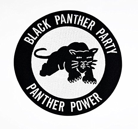 The Black Panther&nbsp;Party