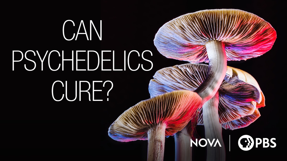 Psychedelic Science cover