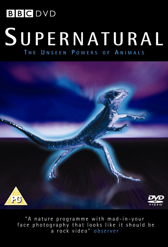 Supernatural Unseen Powers of Animals cover