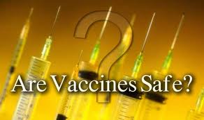 Are vaccines safe? cover