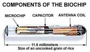 Biochip Update The State of The People original DVD artwork