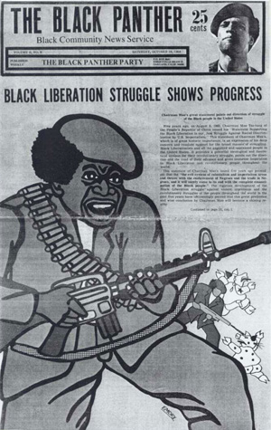 African Resistance Movements of The 19th Century artwork