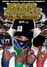 Bloccs, Projects and Entertainment artwork