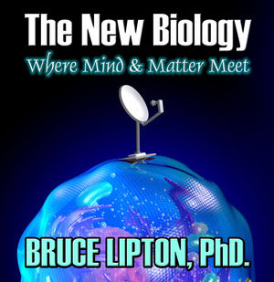 History & Biology of Conscious Parenting: Bruce Lipton artwork
