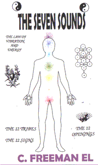 The 7 Healing Sounds DVD artwork