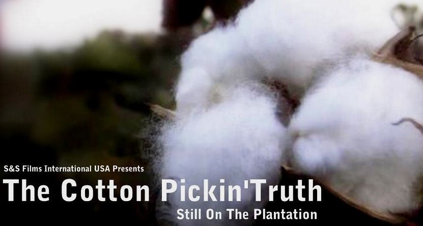 The Cotton Pickin Truth DVD artwork