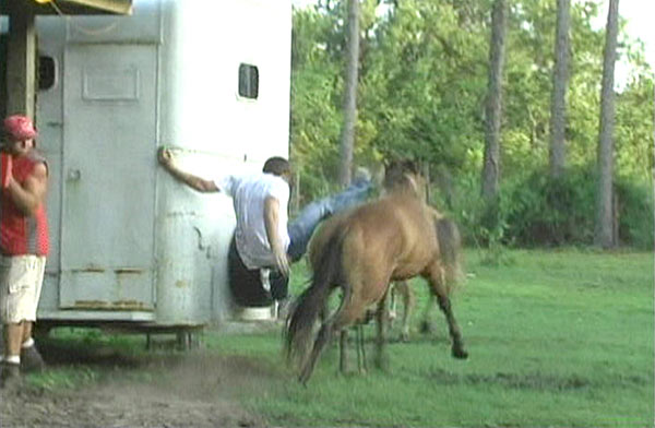 Country Fried Home Videos 3 Discs DVD artwork