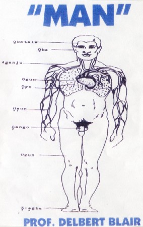 The Man Lecture original DVD artwork