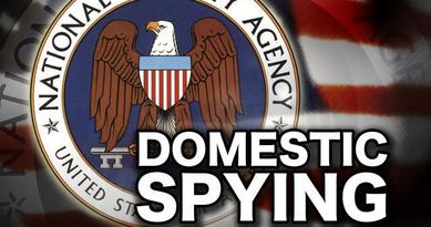 Domestic Spying artwork