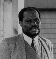 Professor Gabriel A. Oyibo