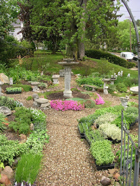 Healing Herbs A - Z DVD artwork
