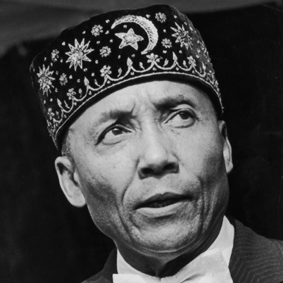 The Life of Elijah Muhammad artwork