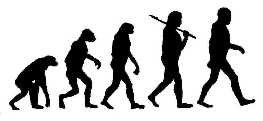 Shifts in Evolution DVD cover