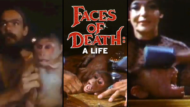 Faces of Death 5 Discs artwork