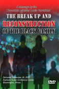 The Breaking of The Black Female artwork