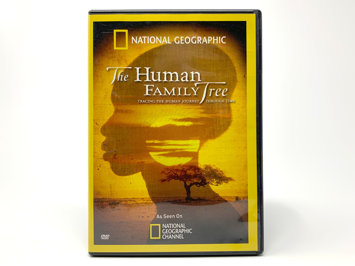 The Human Family Tree artwork