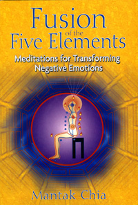 Fusion of The 5 Elements 2 Discs DVD cover
