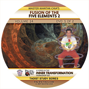 Fusion of The 5 Elements 2: 2 Discs DVD cover