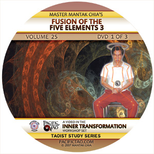 Fusion of The 5 Elements 3: 2 Discs DVD cover