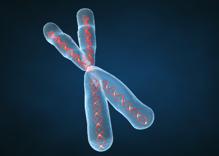 Genetics catalog artwork