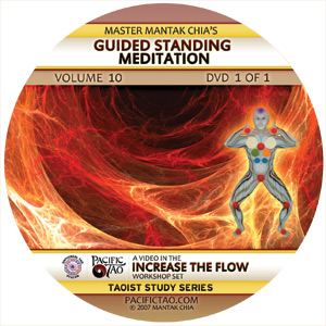 Guided Standing Meditation DVD cover
