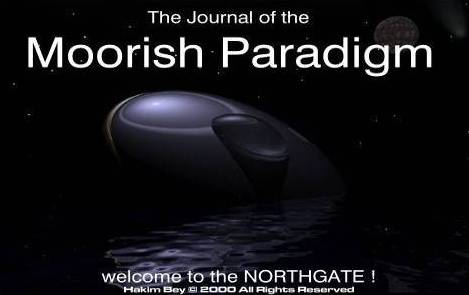 Moorish Paradigm DVD cover