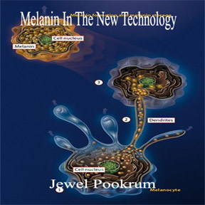 Technology category image