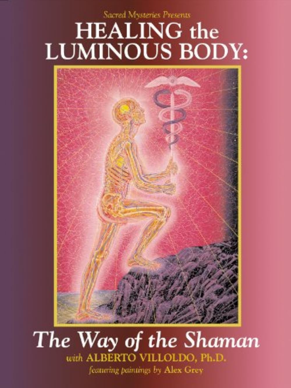 Healing the Luminous Body: The way of the shaman artwork