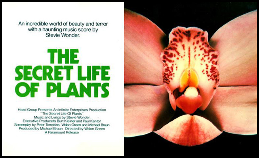 The Secret Life of Plants cover
