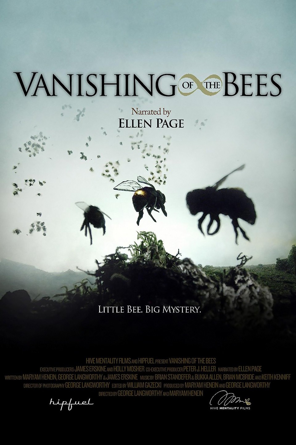 Vanishing of the Bees cover