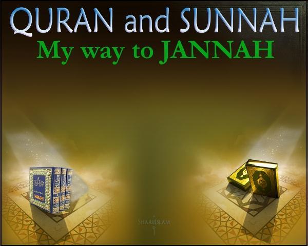 19 Classes: The Real Sunnah artwork