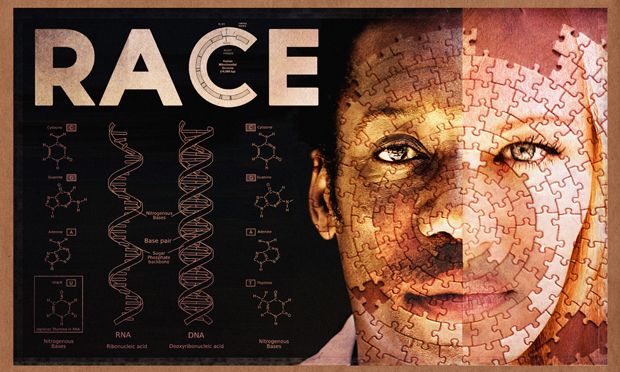 Race & Education A Prehistory artwork