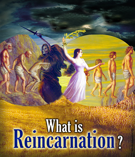 Metaphysics of Reincarnation 2 Discs original DVD artwork