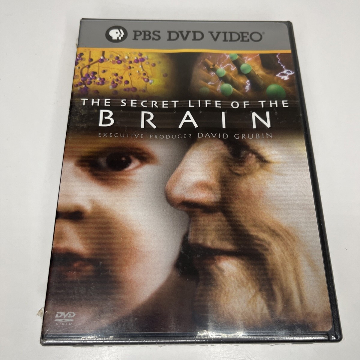 Secret Life of the Brain 2 discs artwork