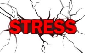Stress, Racism and Hypertension DVD artwork