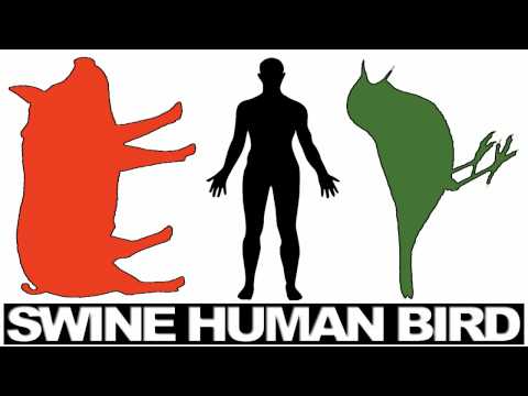 Connecting the Docs — Swine-Avian Flu: Dr. Deagle cover