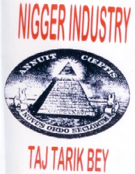 Nigger Industry DVD cover