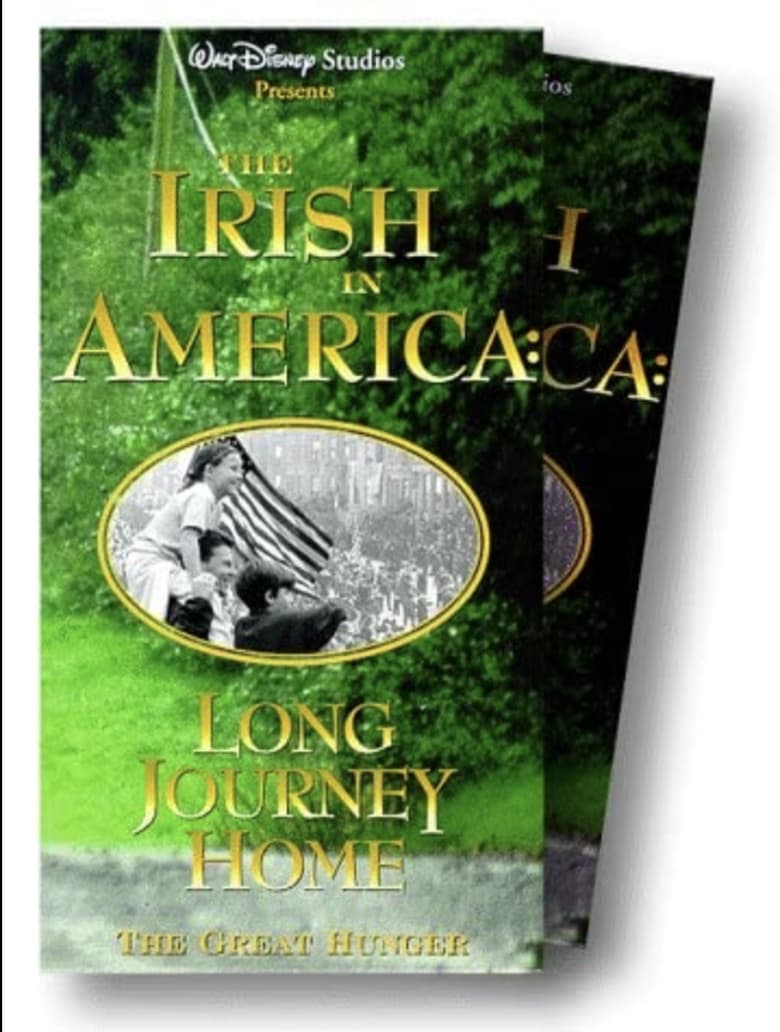 The Irish in America documentary cover