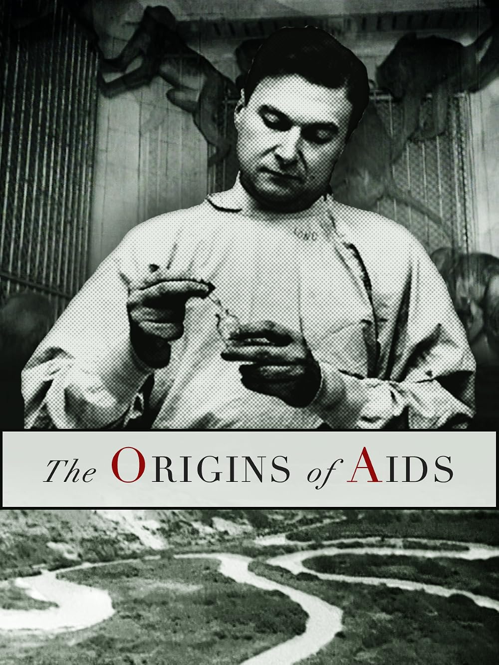 The Origin of AIDS cover