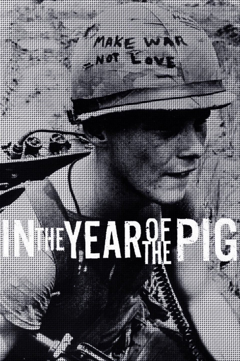 In The Year of the Pig