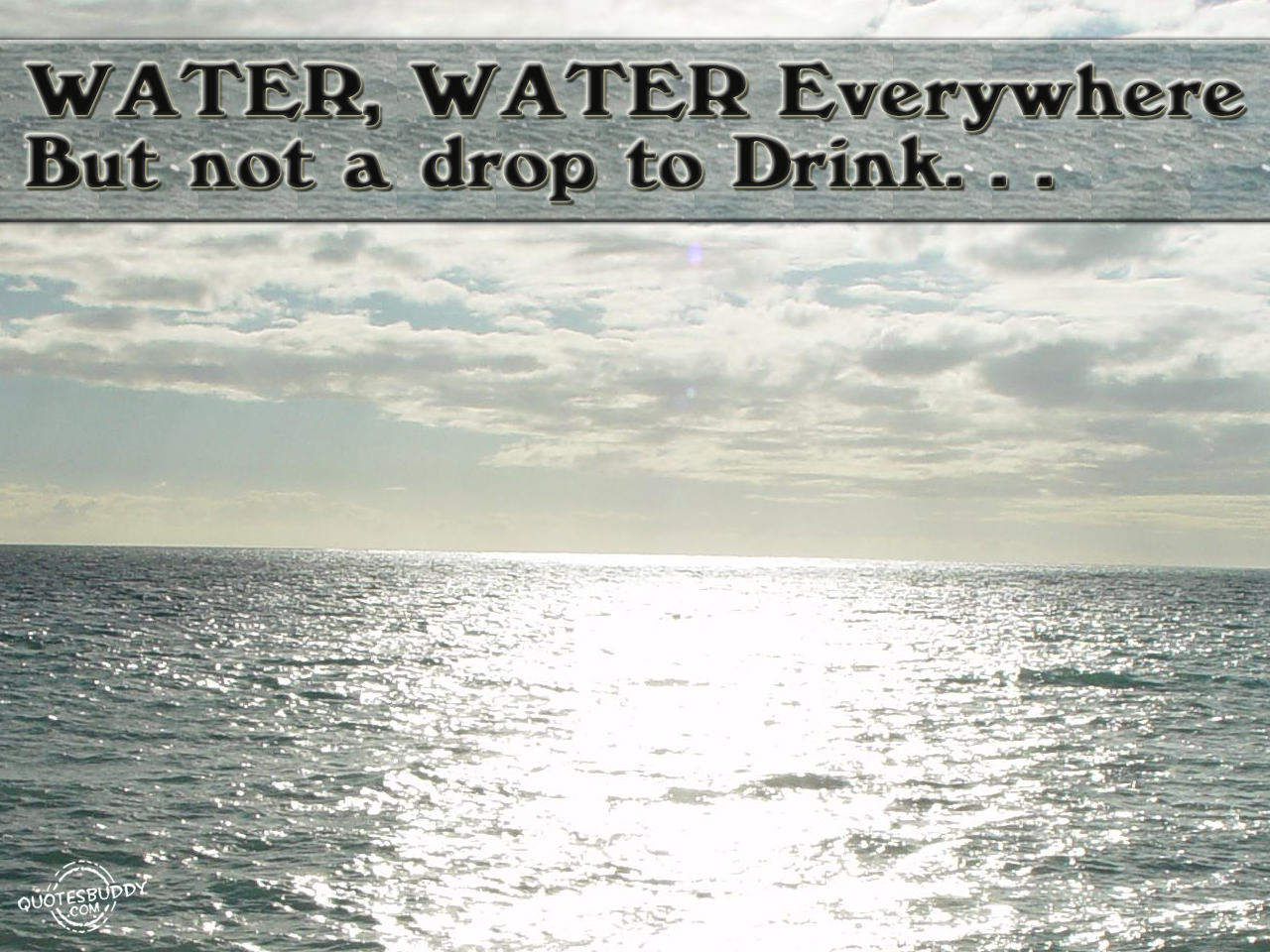 Water everywhere and not a drop to drink: Mona Harrison cover