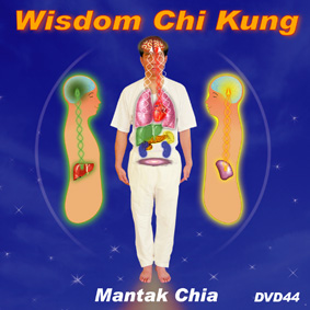 Wisdom Chi Kung DVD cover
