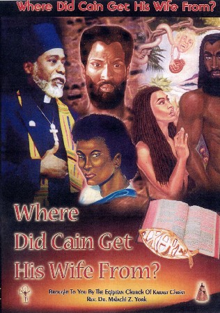Where Did Cain Get His Wife From artwork