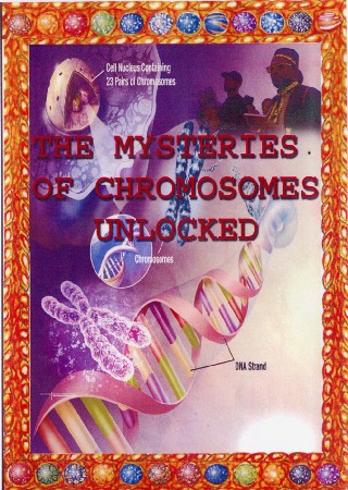 Chromosomes artwork